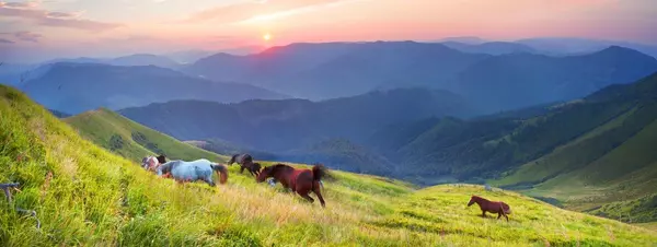 Teresa Hobbs eXp Realty Homes on Acreage