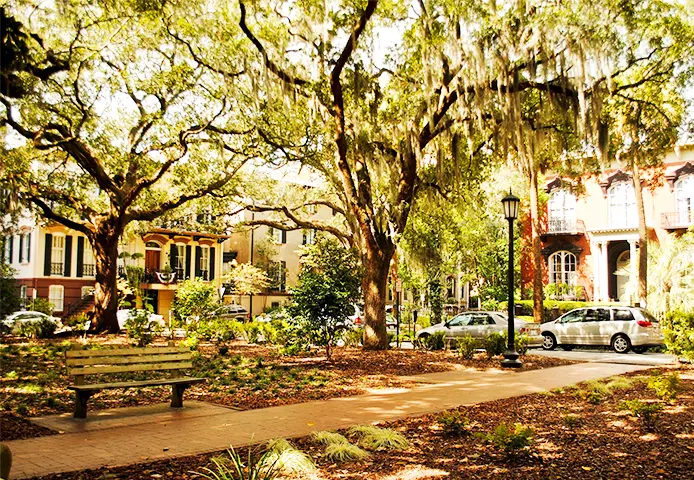 Savannah I HAAF Area