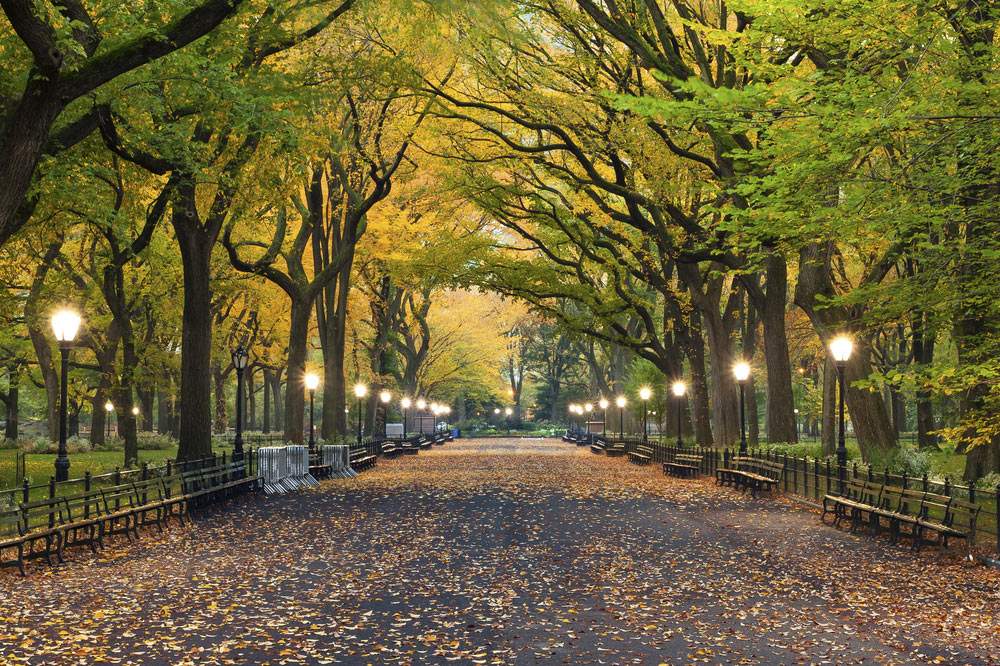 Walkable family neighborhoods in Portland