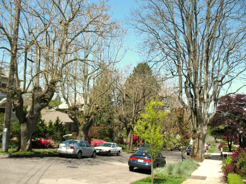 Moving up in Portland real estate neighborhoods