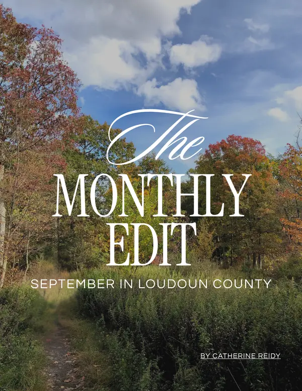 September Newsletter,Catherine Reidy