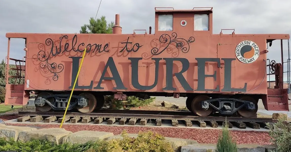 Laurel
