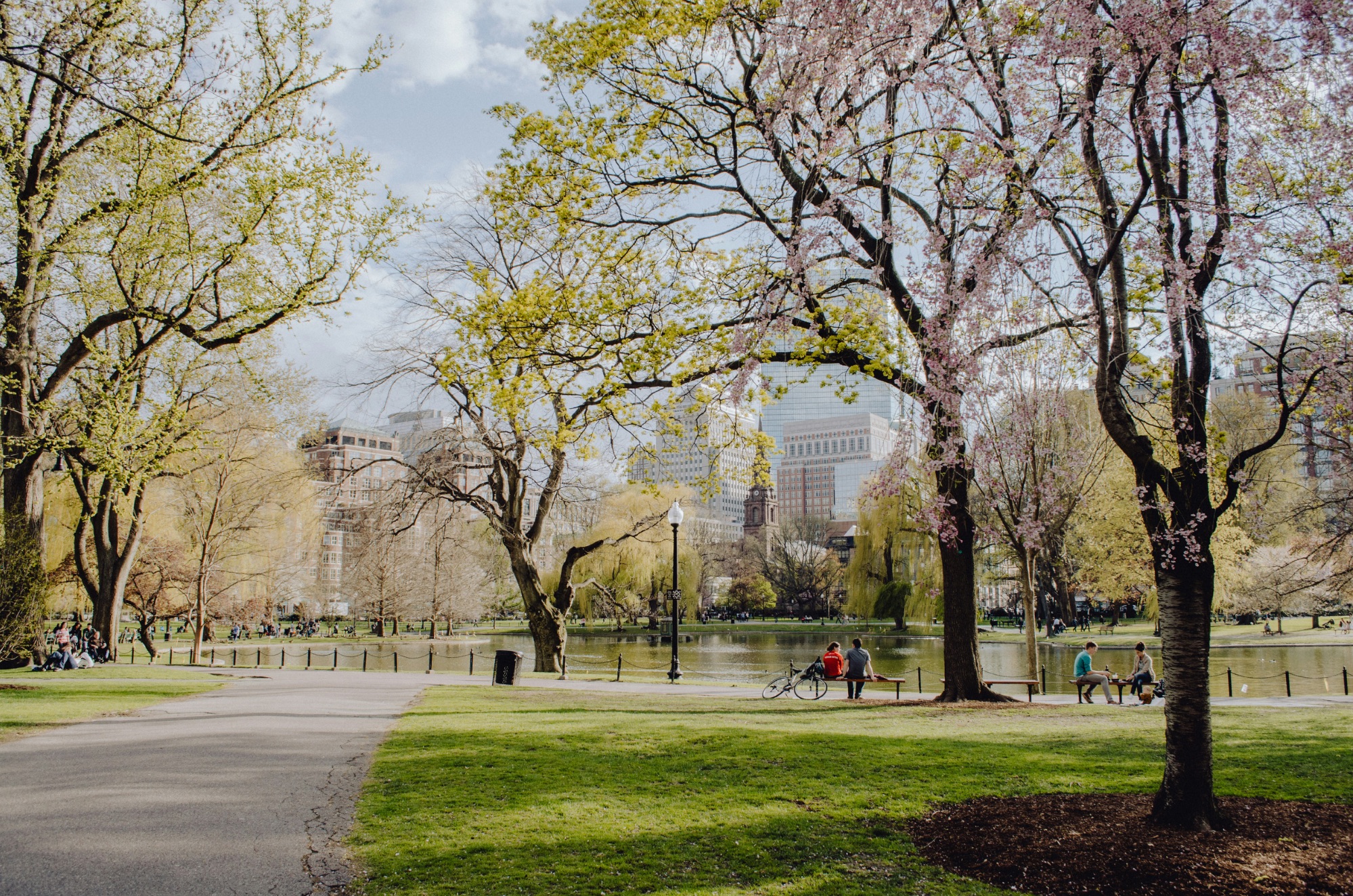 Boston Public Garden representing city lifestyle and green space