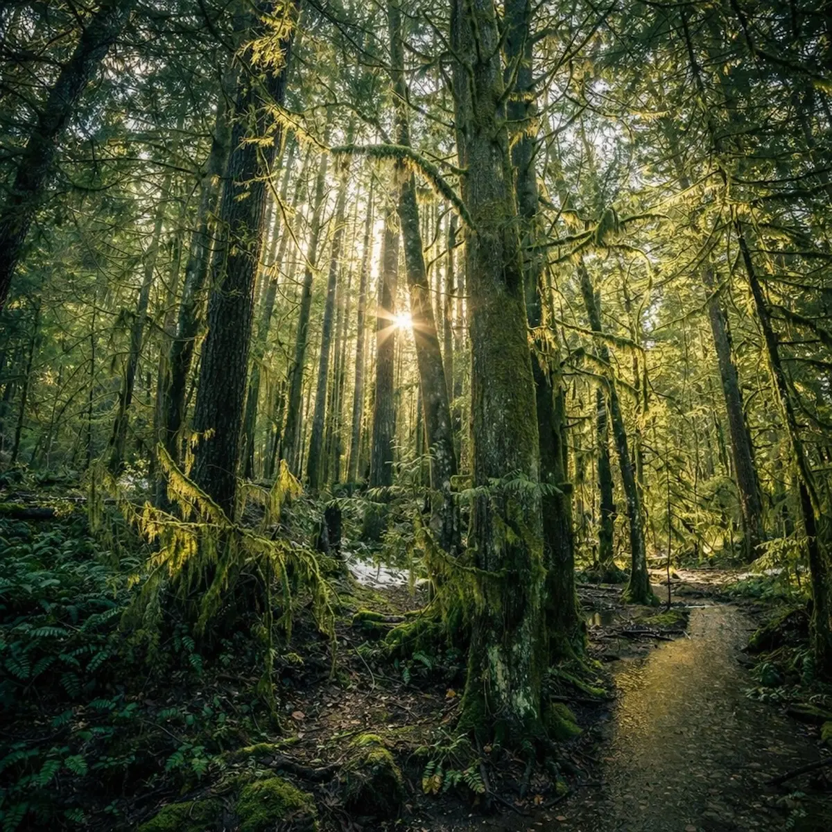 ChatGPT Image Feb 23, 2026, 05_00_10 PM