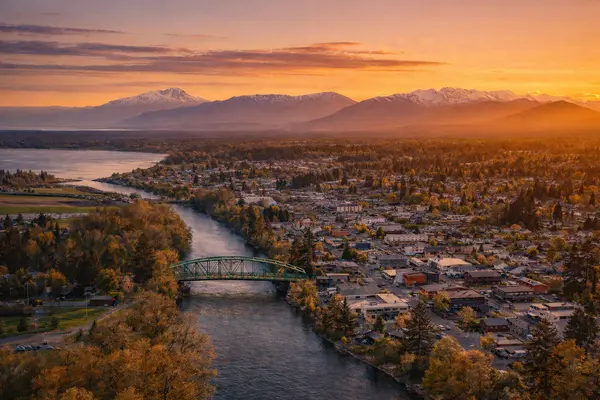 ChatGPT Image Feb 21, 2026, 10_33_38 AM