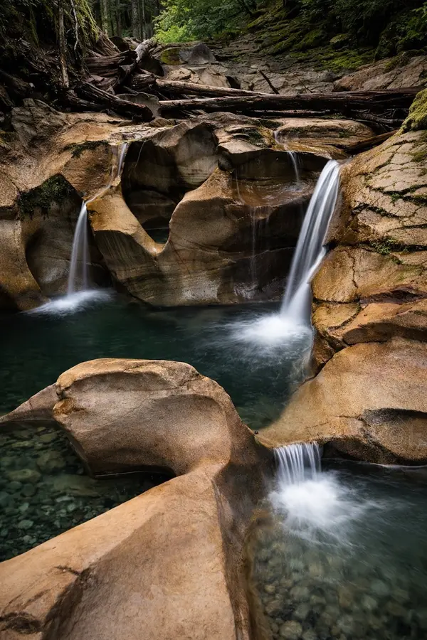 ChatGPT Image Feb 23, 2026, 03_13_40 PM