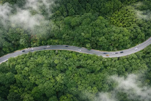 ChatGPT Image Feb 23, 2026, 06_02_24 PM