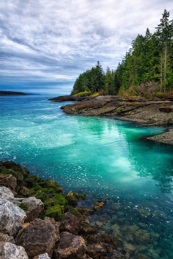 ChatGPT Image Feb 23, 2026, 10_49_12 PM