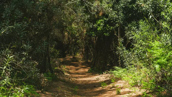 Raven Rock State Park and the Joy of Local Living,Kristen McCutcheon