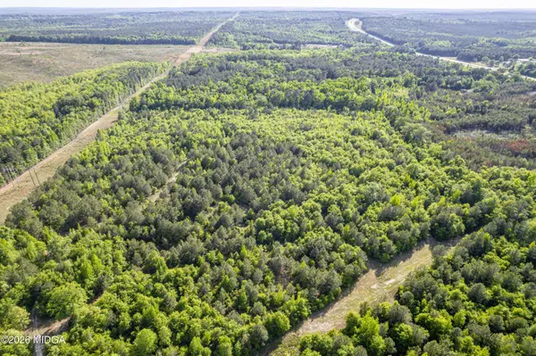 21701 US-441, Mcintyre, GA 31054