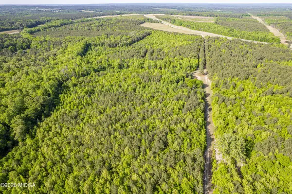 21701 US-441, Mcintyre, GA 31054