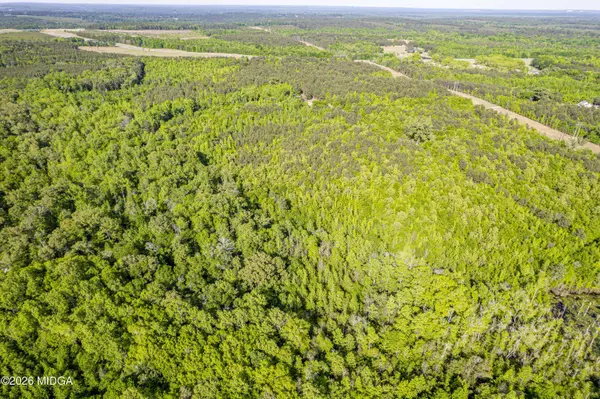 21701 US-441, Mcintyre, GA 31054