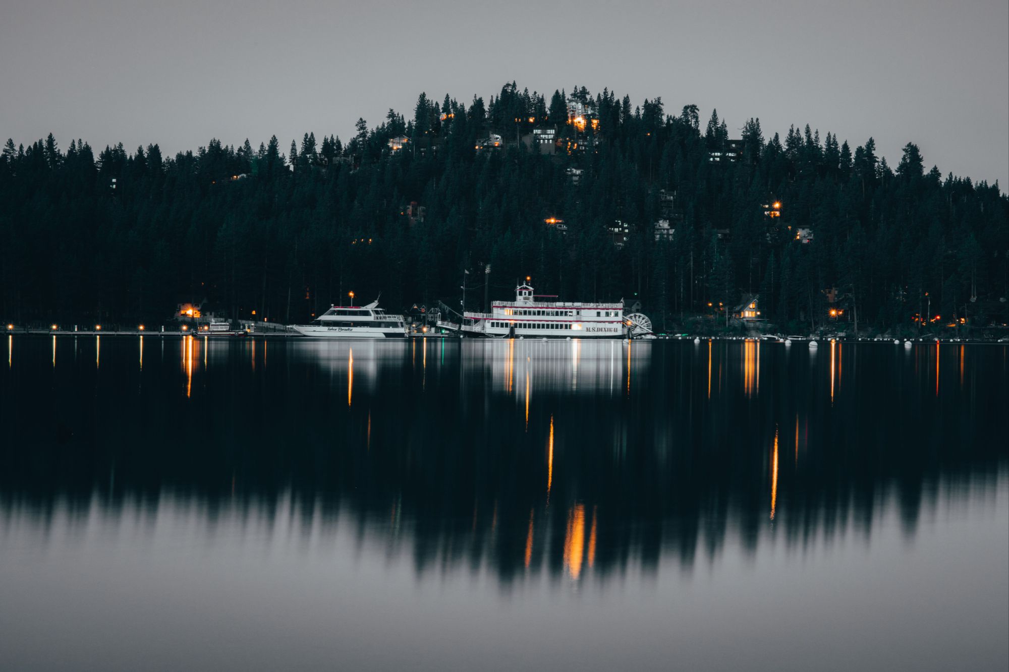 BurnBot vegetation treatment and forest fuels reduction near Incline Village Lake Tahoe