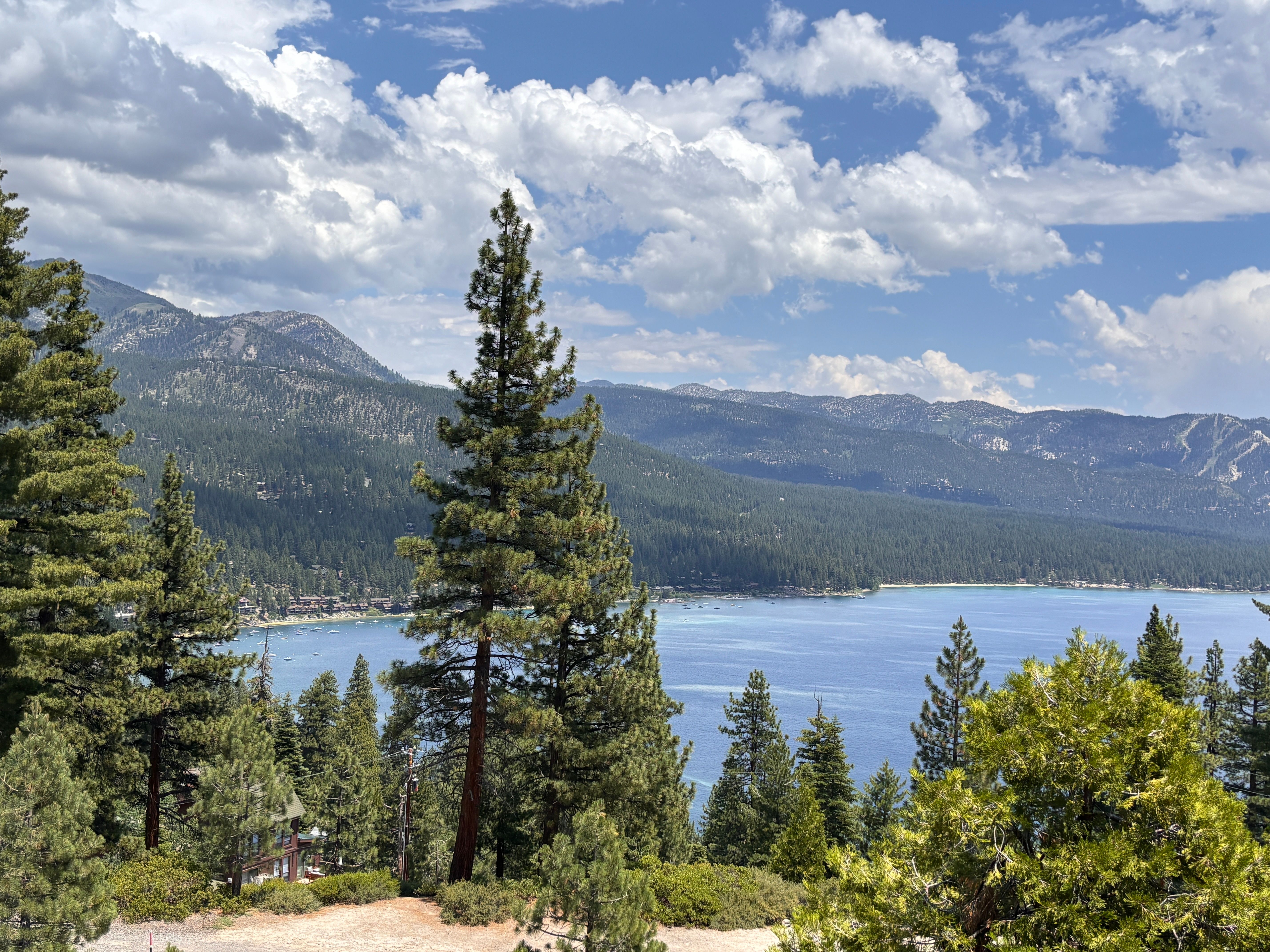 The Worm wildfire fuels reduction project near Incline Village Nevada