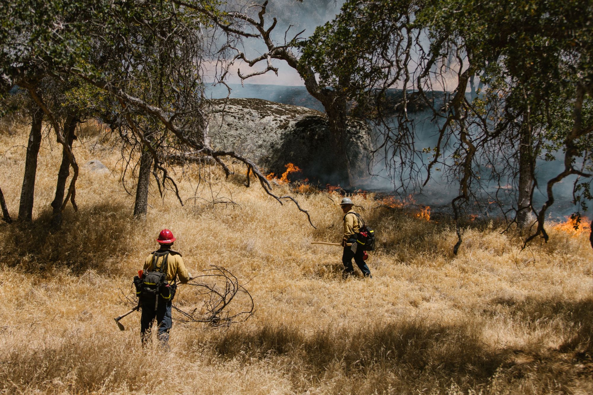 Firewise wildfire mitigation work serving luxury homeowners on the Nevada side of Lake Tahoe