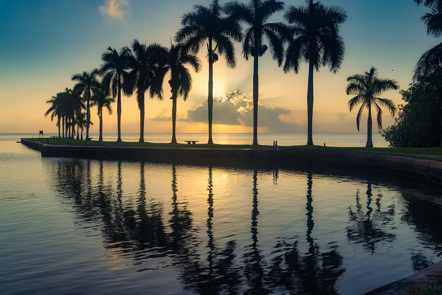 Palmetto Bay