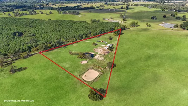 8 Acres in Titus County: Horse-Ready, Quiet, and Full of Possibility