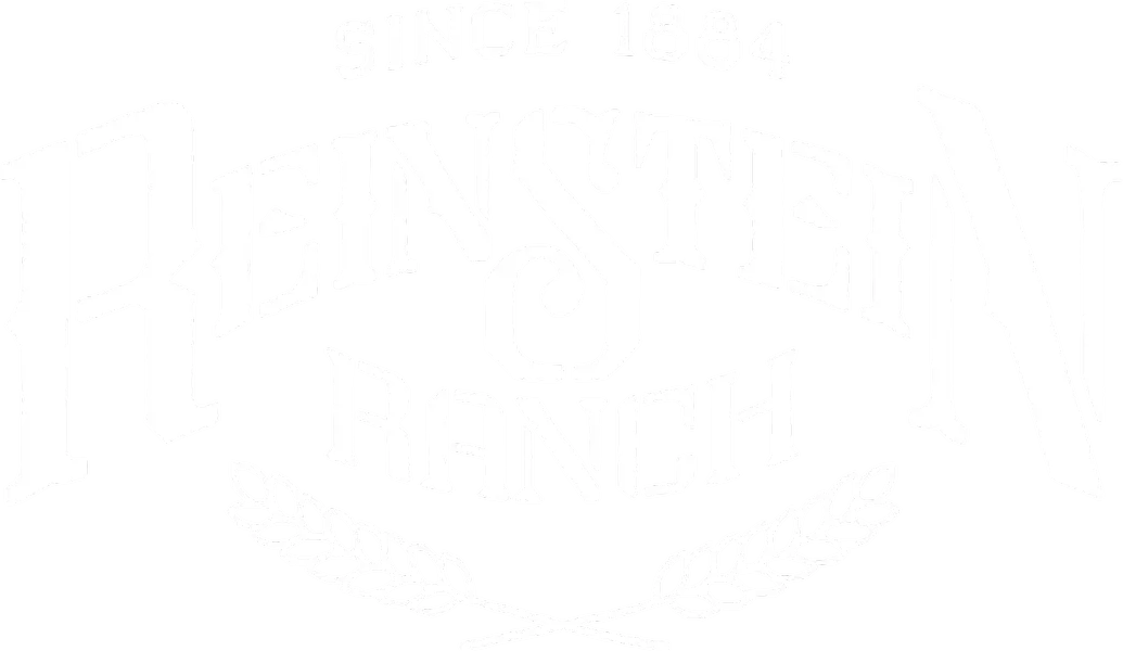 reinstein_logo_white (1)