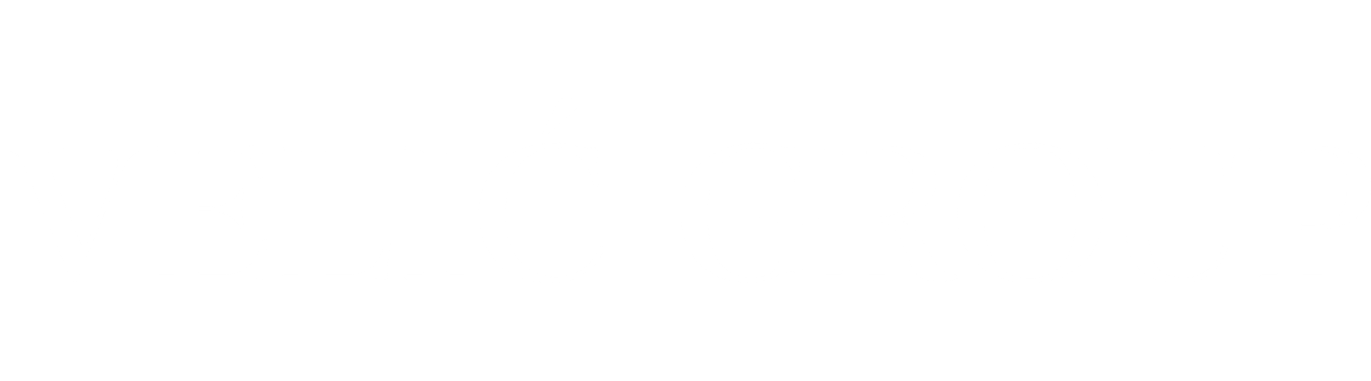 Velić Group