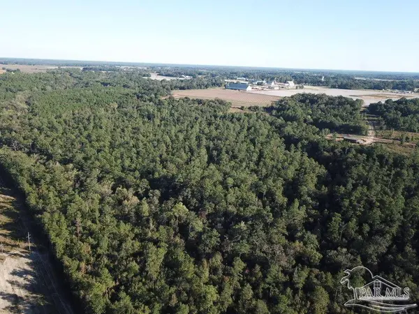85+/- acres Wiley Scott Rd, Jay, FL 32565