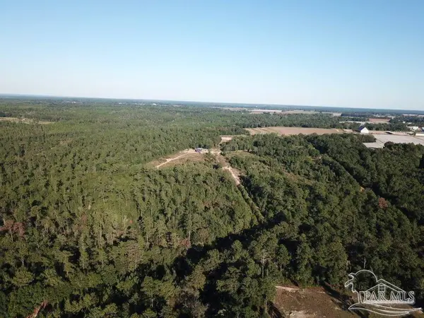 85+/- acres Wiley Scott Rd, Jay, FL 32565