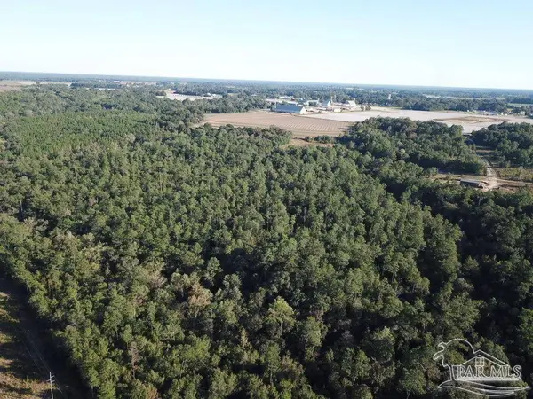 85+/- acres Wiley Scott Rd, Jay, FL 32565