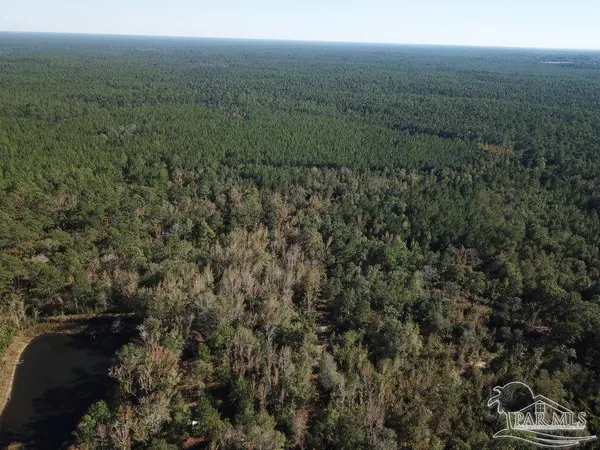 85+/- acres Wiley Scott Rd, Jay, FL 32565