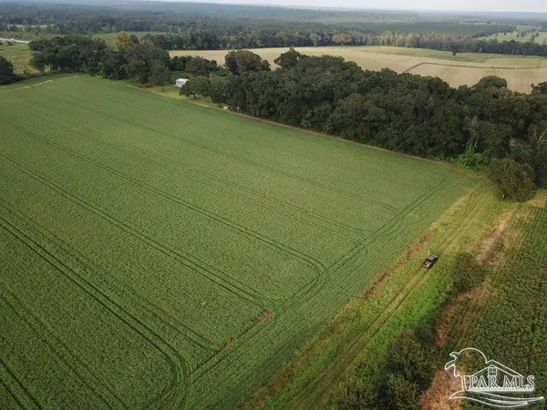 4+ acres Hwy 87, Milton, FL 32570