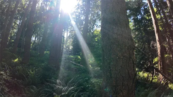 4480 Strachan Rd, Hornby Island, BC V0R 1Z0