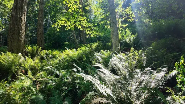 4480 Strachan Rd, Hornby Island, BC V0R 1Z0