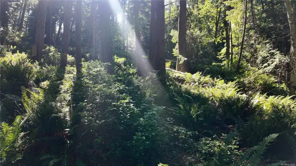 4480 Strachan Rd, Hornby Island, BC V0R 1Z0