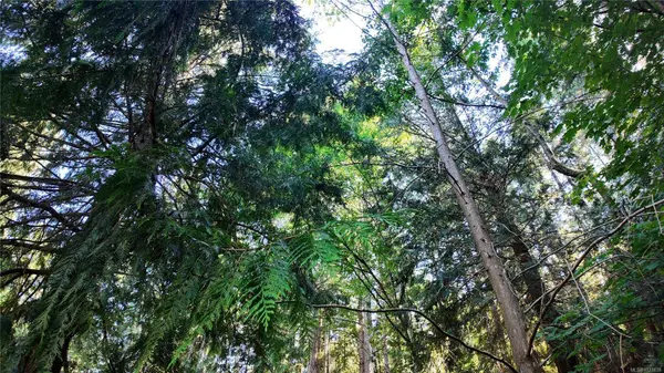 4480 Strachan Rd, Hornby Island, BC V0R 1Z0