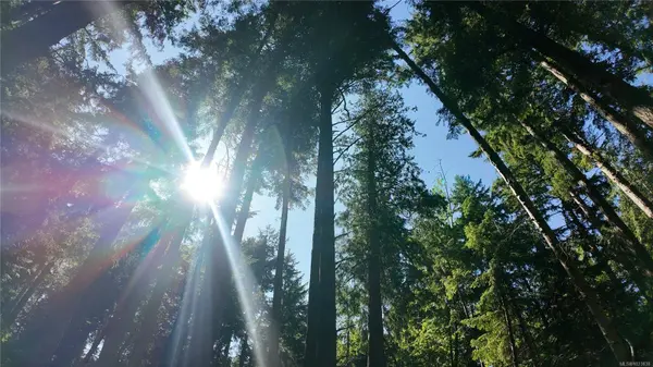 4480 Strachan Rd, Hornby Island, BC V0R 1Z0