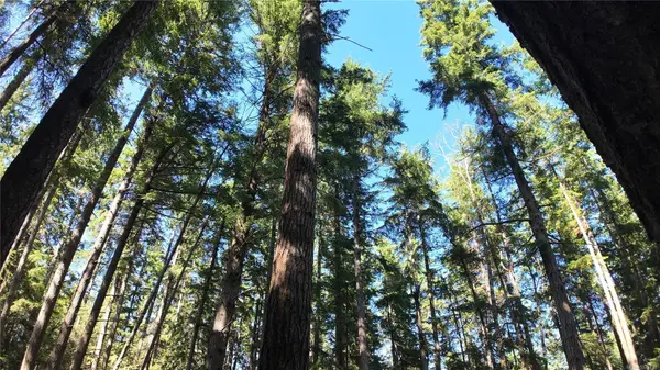 4480 Strachan Rd, Hornby Island, BC V0R 1Z0