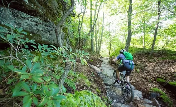 Discover the Best Outdoor Adventures in Johnstown, PA
