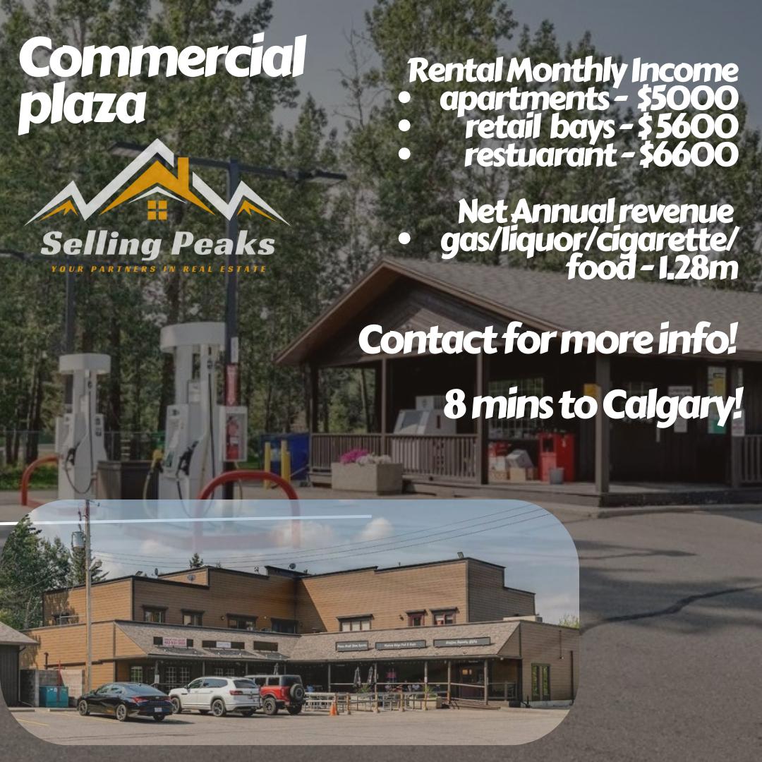 Multi-Unit Rental Investment Package Brochure