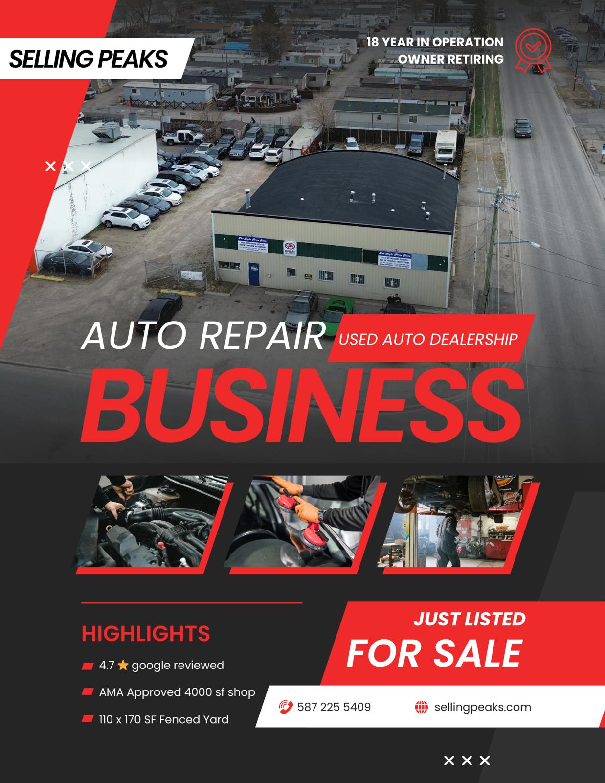 Profitable Automotive Business Brochure