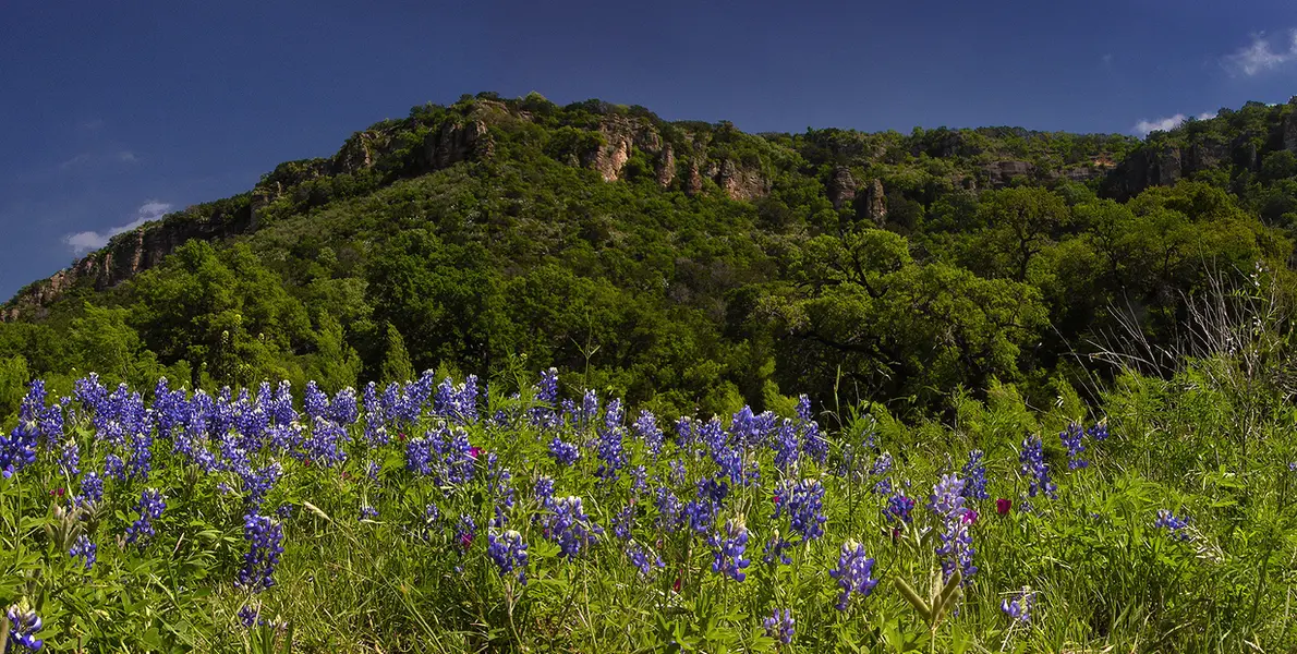 San Antonio