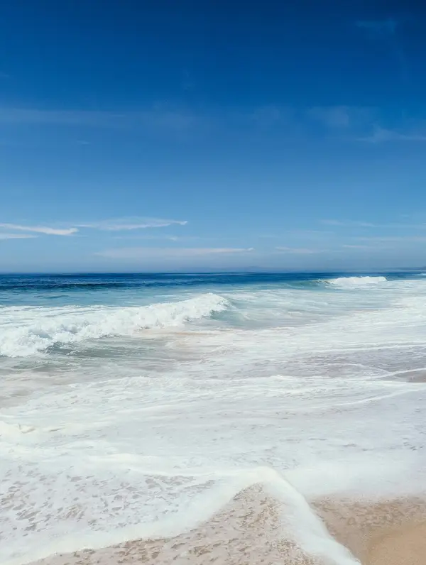 Neighborhood Spotlight: East Pensacola Heights—A Bayside Gem Between Bayou Texar and Pensacola Bay
