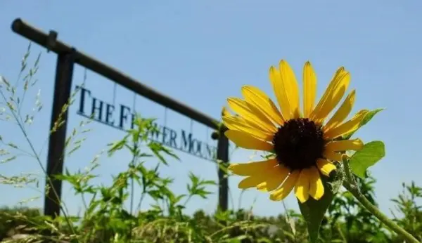 feature image of Ultimate Guide to Living in Flower Mound, Texas: Everything You Need to Know