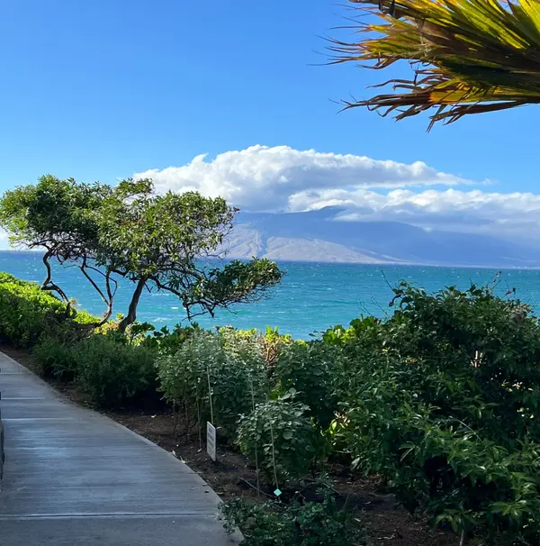 feature image of Wailea Coastal Walk | A Scenic Stroll Along Maui’s South Shore