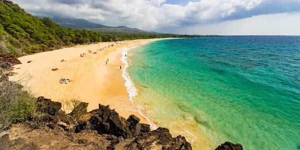 Wailea and Makena: A Buyer's Guide to Maui's Premier Resort Communities,Jyoti Graziano