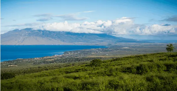 How to Sell a South Maui Home While Living Off-Island,Jyoti Graziano