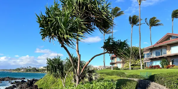 South Maui Vacation Rental Rules and Hotel-Zoned Property Guide,Jyoti Graziano