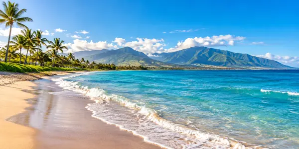 Tropical Shoreline with Mountain Views