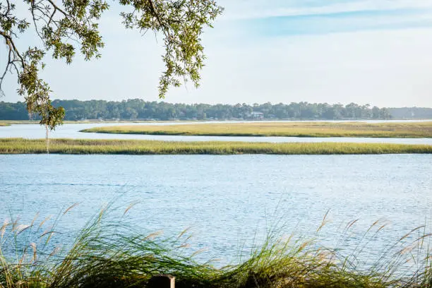 Bluffton
