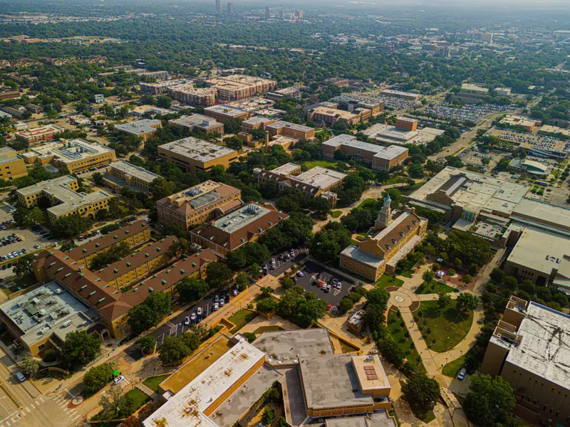 Mesquite