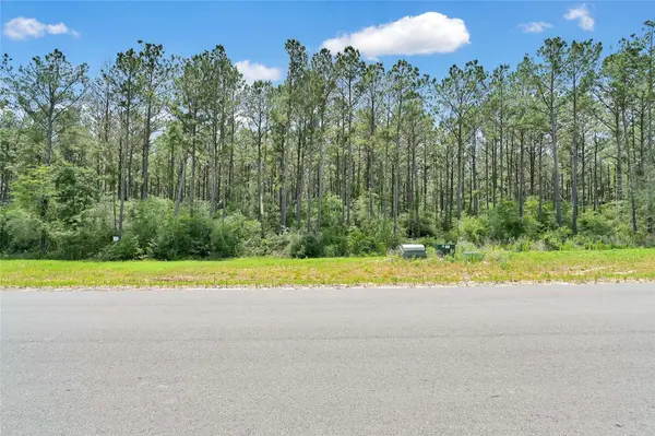 15469 Forest Grove DR, Willis, TX 77378