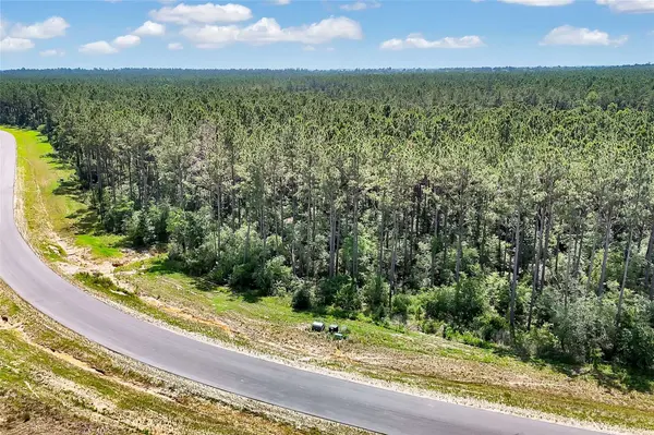 15469 Forest Grove DR, Willis, TX 77378