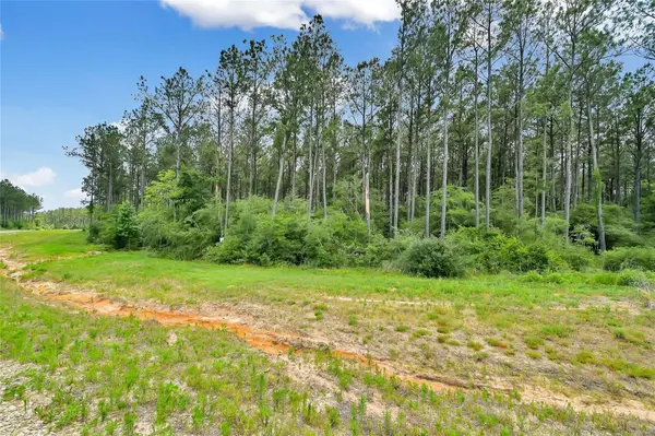 15469 Forest Grove DR, Willis, TX 77378